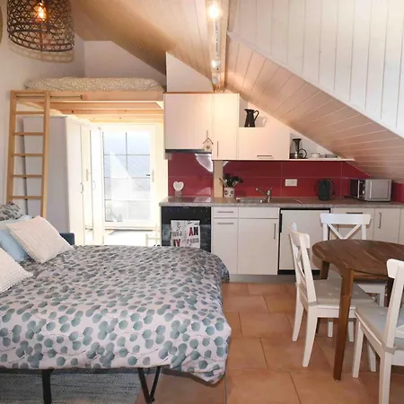 Nid Douillet Vaudois Avec Mezzanine * Bussigny-pres-Lausanne