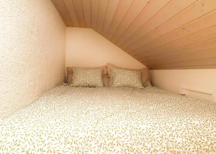 Nid Douillet Vaudois Avec Mezzanine