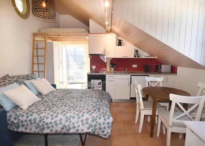 Nid Douillet Vaudois Avec Mezzanine * Bussigny-pres-Lausanne